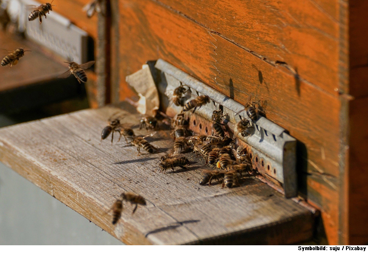 Neun Bienenkästen beschädigt