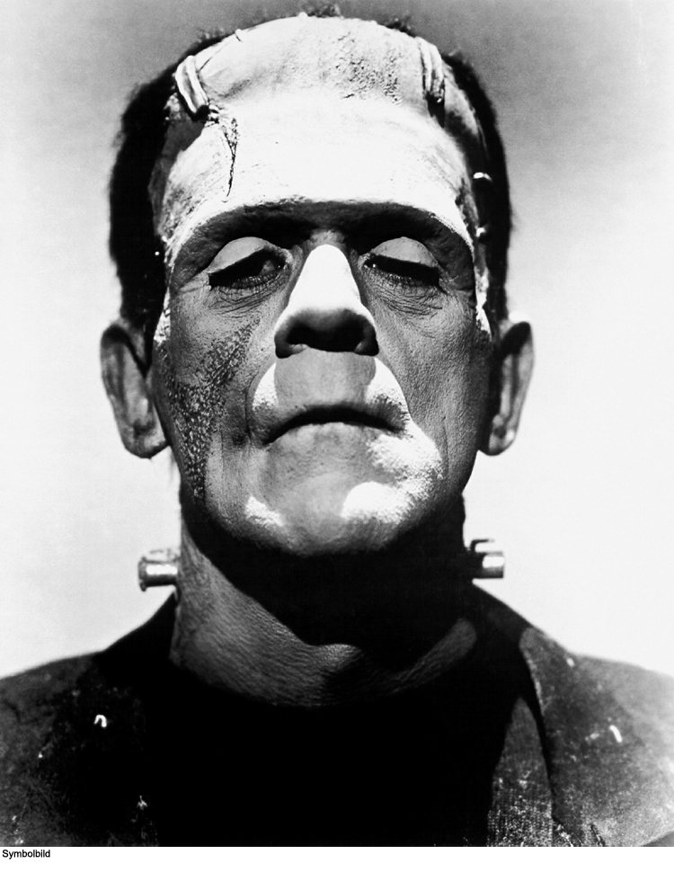 Frankenstein… oder die Geister die ich rief!