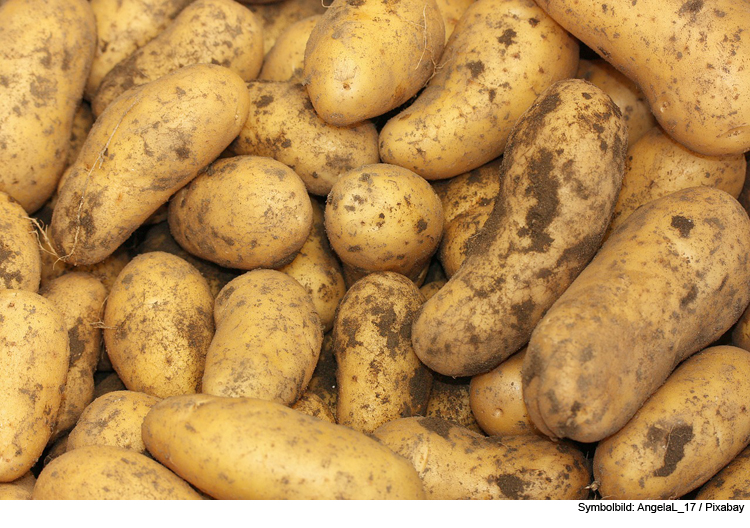 Nach Kollision: Kartoffelbauer flüchtet