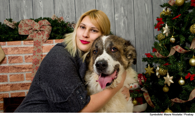 Weihnachten mit Hund – die Weihnachtszeit richtig genießen!