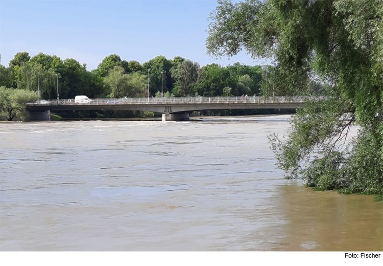 Grundwasser sinkt deutlich langsamer als Donaupegel